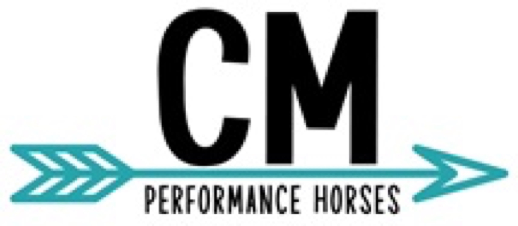 CM Performance