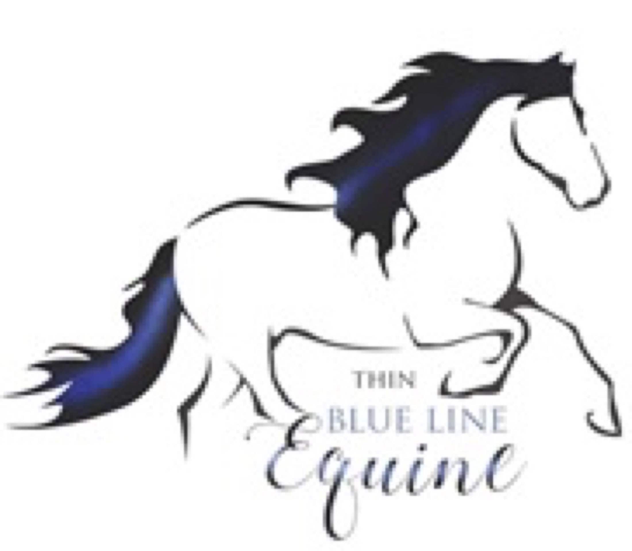 Thin Blue